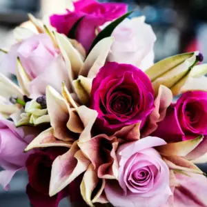 זר ורדים ורודים